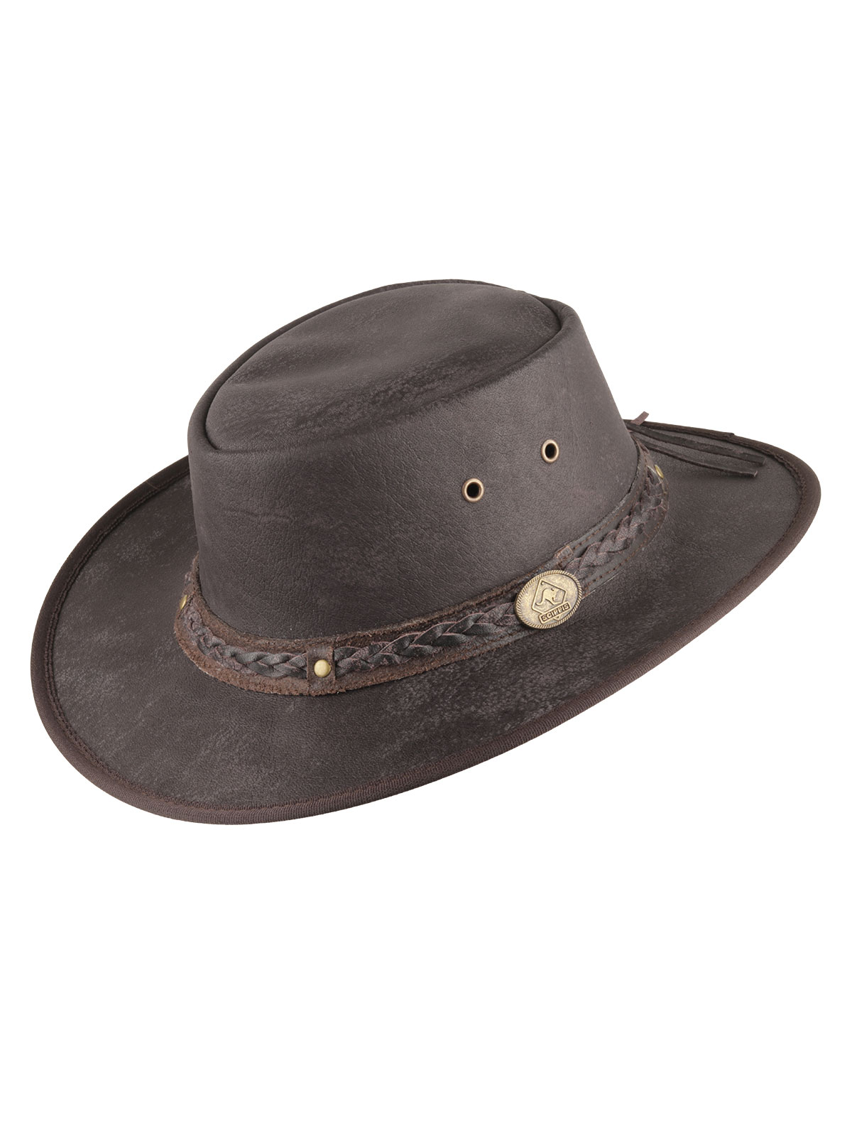 Springbrook Brown