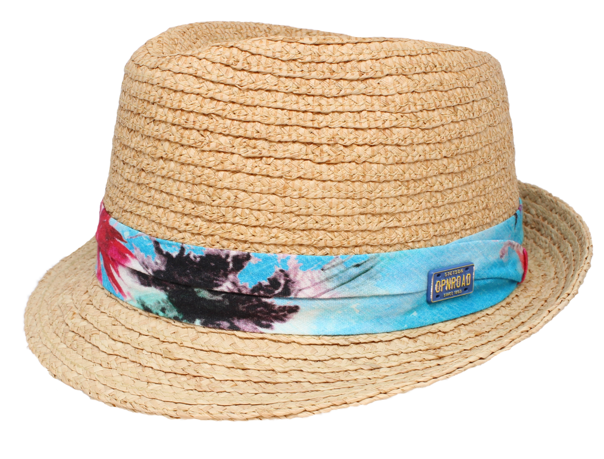 Herrenhut Stetson