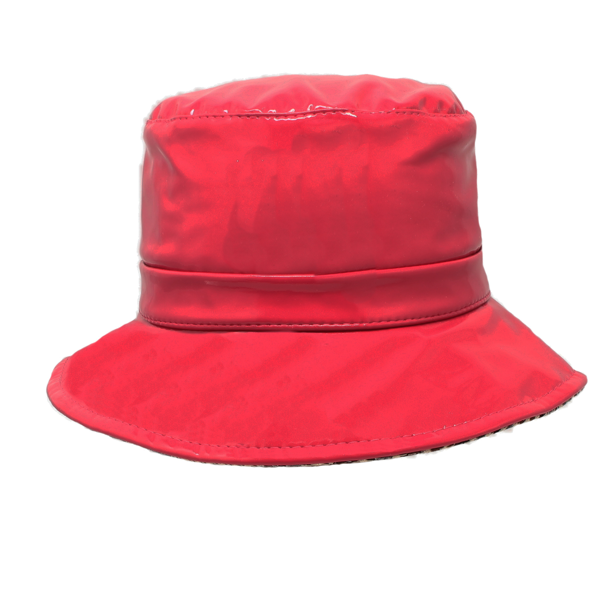 Vernice Regenhut rose