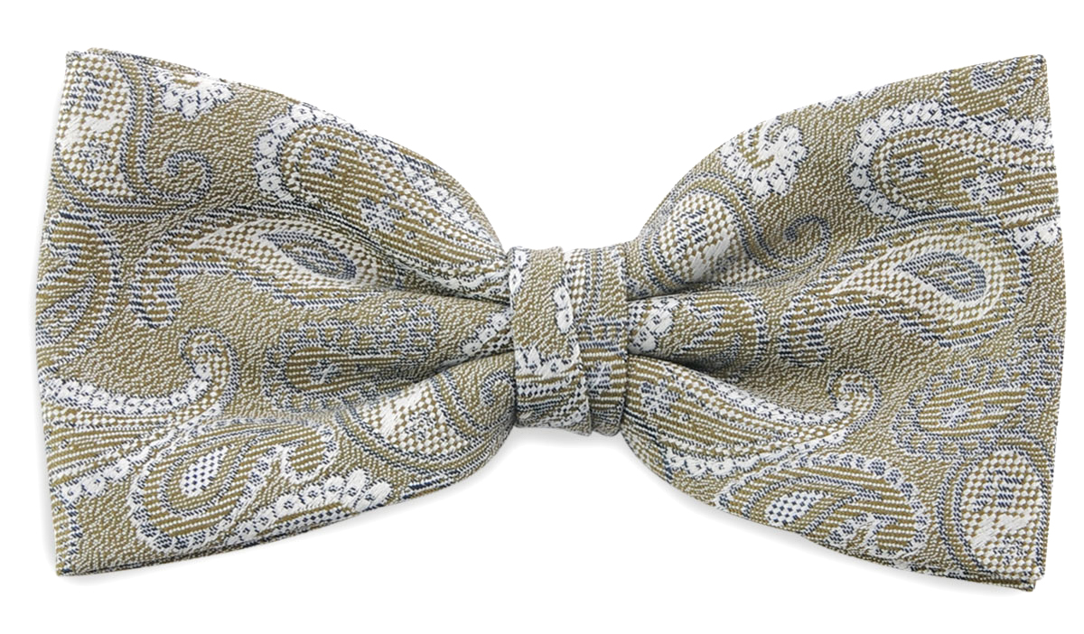 Hosenträger Fliege Paisley  marrone